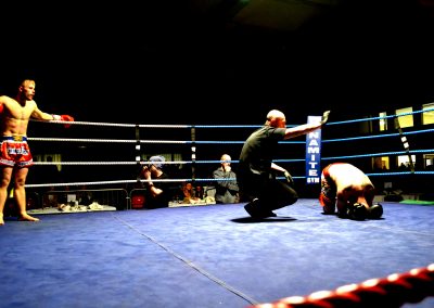 wakt boxer knock out